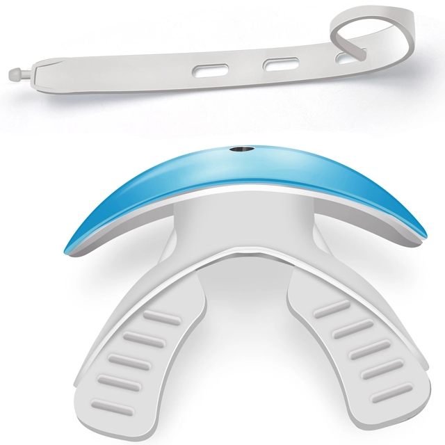 マウスガードの開発とルール